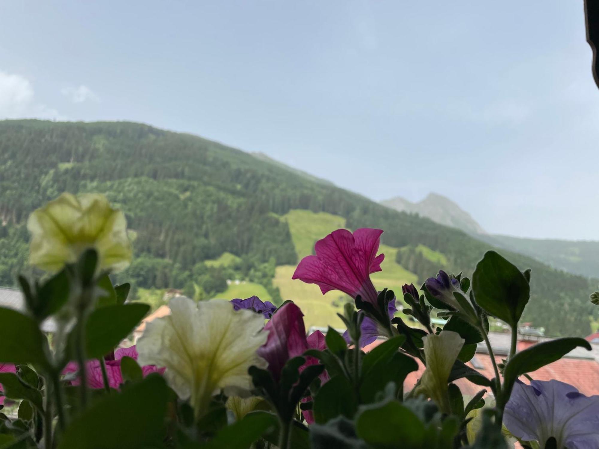Wengerbauer Villa Dorfgastein Ngoại thất bức ảnh